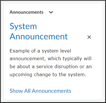 System Announcement: Example of a system level announcement, which typically will be about a service disruption or an upcoming change to the system