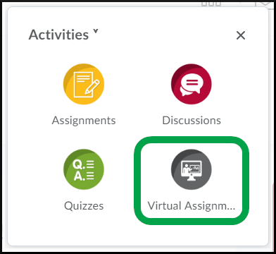 Activities Menu, Virtual Assignment - All.PNG