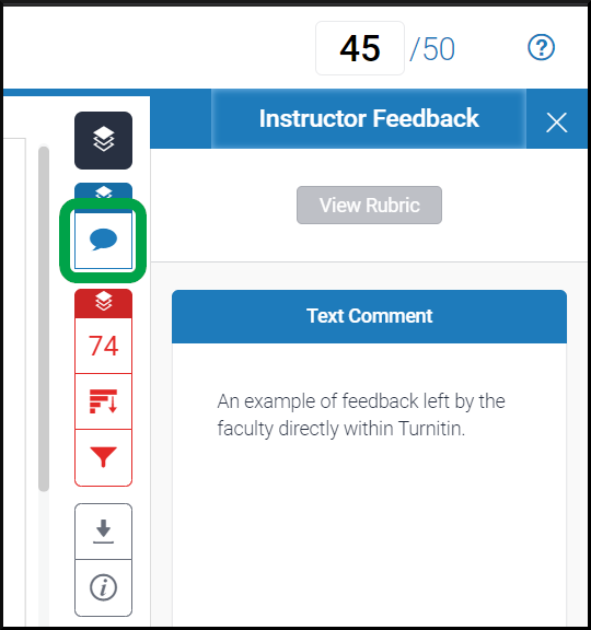 Assignments, Turnitin Instructor Feedback Button - Students.png
