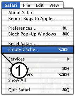 safari1.jpg